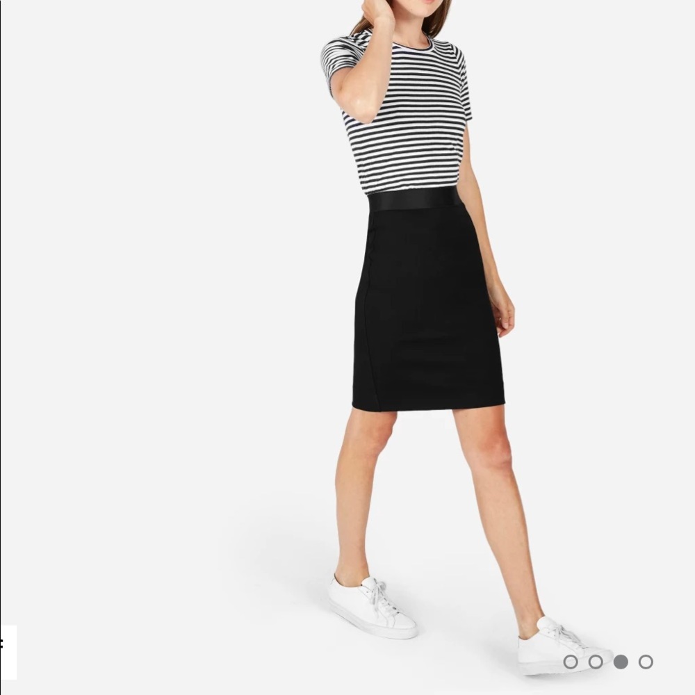 Everlane the Stretch Ponte tube skirt